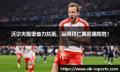 VSport登录入口